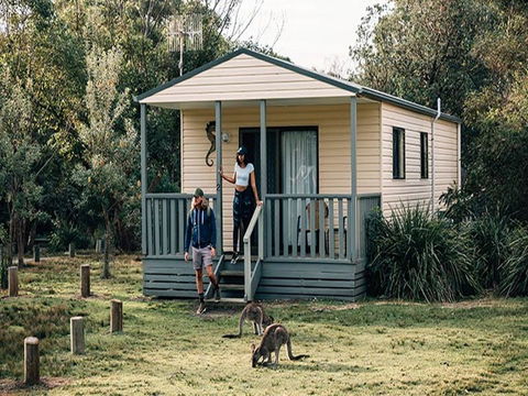 Pretty Beach Cabins - Accommodation in Surfers Paradise 0