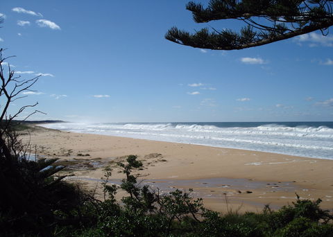 Tuross Lakeview Cottage - Accommodation in Surfers Paradise 0