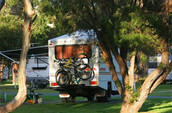 BIG4 Albany Gardens Holiday Resort - Accommodation in Surfers Paradise 3