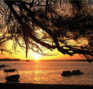 Pelican's Nest - Accommodation in Surfers Paradise