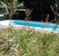 Alluna Motel - Accommodation in Surfers Paradise