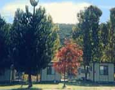 Anglers Reach Caravan Park - Accommodation in Surfers Paradise 0