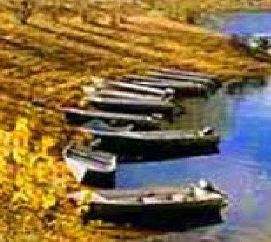 Anglers Reach Caravan Park - Accommodation in Surfers Paradise 2