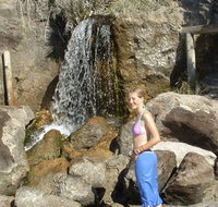 Misty Valley Country Cottages - Accommodation in Surfers Paradise