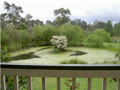 Moss Brook Bed And Breakfast - Accommodation in Surfers Paradise 1