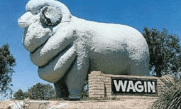 Wagin Motel - Accommodation in Surfers Paradise 0