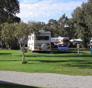 Pinjarra Caravan Park - Accommodation in Surfers Paradise