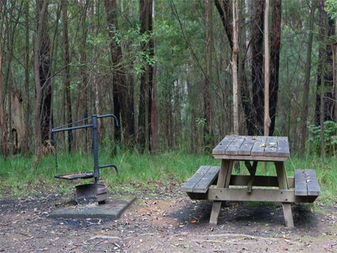 Boundary Falls Campground And Picnic Area - Accommodation in Surfers Paradise 0