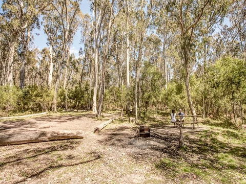 Coree Campground - Accommodation in Surfers Paradise 1
