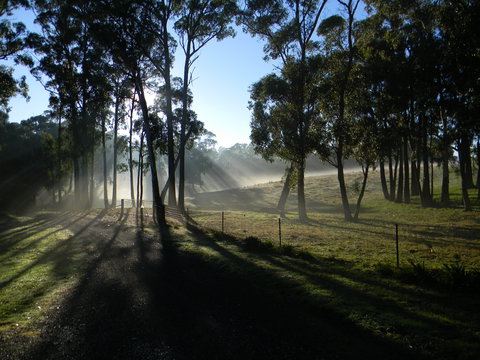 Cygnet Park Country Retreat - Accommodation in Surfers Paradise 2