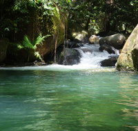 Daintree Secrets Rainforest Sanctuary - Accommodation in Surfers Paradise