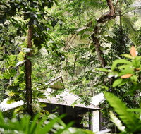 Daintree Ecolodge - Accommodation in Surfers Paradise