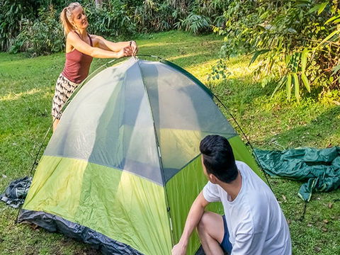Native Dog Campground - Accommodation in Surfers Paradise 0