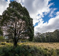 Nunnock campground - Accommodation in Surfers Paradise
