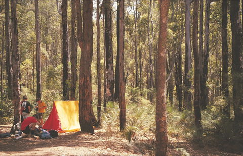 Stringers Camp At Lane Poole Reserve - Accommodation in Surfers Paradise 1