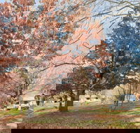 Tumbarumba Caravan Park - Accommodation in Surfers Paradise