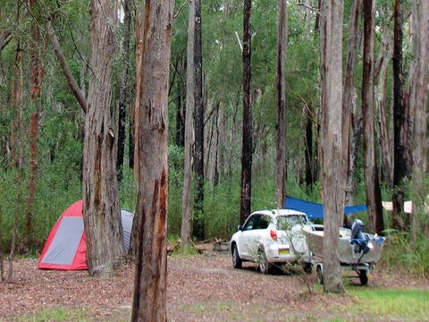Wallingat River Campground - Accommodation in Surfers Paradise 0