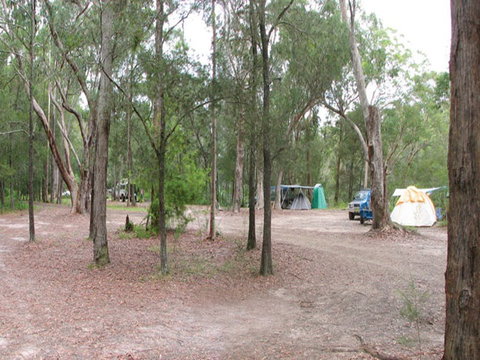 Wallingat River Campground - Accommodation in Surfers Paradise 1