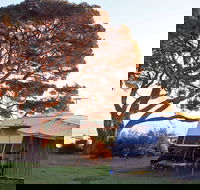 WhiteCliffs to Camerons Bight Foreshore Reserve - Accommodation in Surfers Paradise