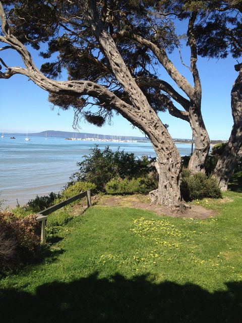 WhiteCliffs To Camerons Bight Foreshore Reserve - Accommodation in Surfers Paradise 2