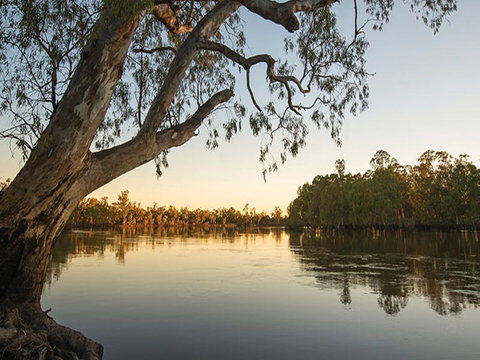 Woperana Campground - Accommodation in Surfers Paradise 0