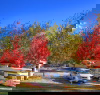 Beechworth Lake Sambell Caravan Park - Accommodation in Surfers Paradise