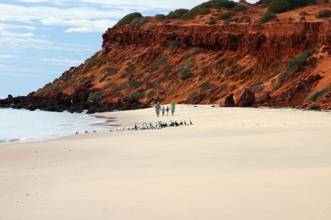 South Gregories Camp At Francois Peron National Park - Accommodation in Surfers Paradise 0