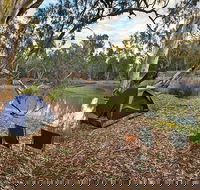 Woolpress Bend campground - Accommodation in Surfers Paradise