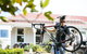 Cressy House Estate Farm Stay - thumb 2