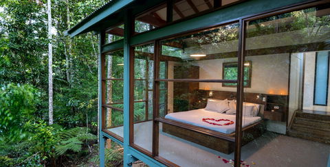 Crystal Creek Rainforest Retreat - Accommodation in Surfers Paradise 2