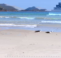 Eagles Rise Tasmania - Accommodation in Surfers Paradise