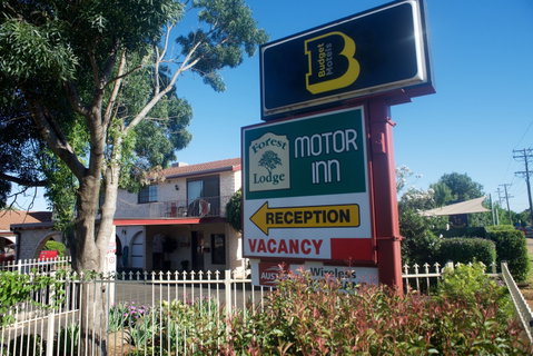Forest Lodge Motor Inn And Restaurant - Accommodation in Surfers Paradise 0