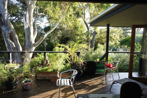 Kookaburra Dreaming - Accommodation in Surfers Paradise 2