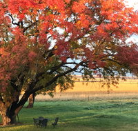 Little Kickabell Country Homestead - Accommodation in Surfers Paradise