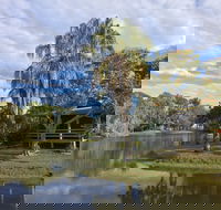 Sanctuary Lakes Fauna Retreat - Accommodation in Surfers Paradise