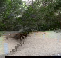 Springbrook National Park camping - Accommodation in Surfers Paradise