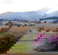 The Barn  House Farm Stay at Possum Manor - Accommodation in Surfers Paradise