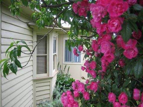 Valley Views Bed And Breakfast - Accommodation in Surfers Paradise 0
