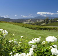 Balgownie Estate Vineyard Resort and Spa - Accommodation in Surfers Paradise