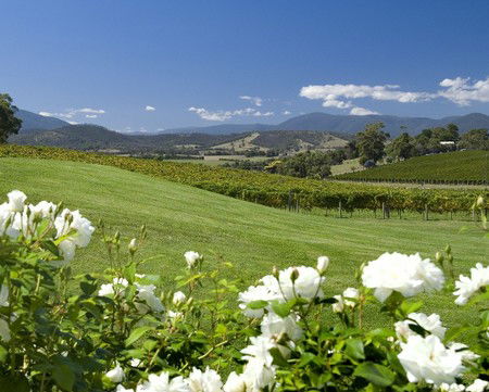 Balgownie Estate Vineyard Resort And Spa - Accommodation in Surfers Paradise 0