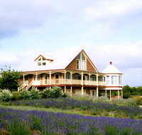 Serendipity Lavender Farm - Accommodation in Surfers Paradise