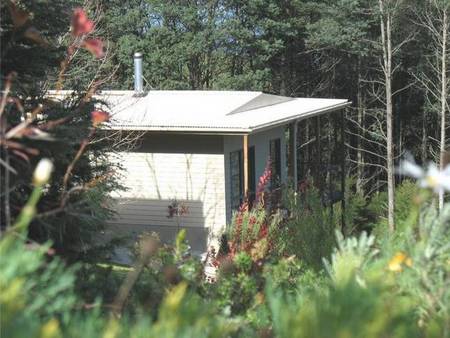 Lyrebird Cottages - Accommodation in Surfers Paradise 5