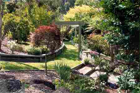 Mast Gully Gardens - Accommodation in Surfers Paradise 2