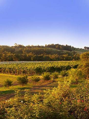 Wallace Heritage Homestead - Accommodation in Surfers Paradise 5