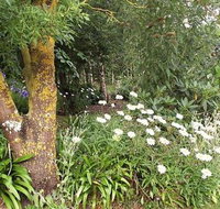 Springbank Bed and Breakfast - Accommodation in Surfers Paradise