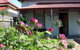 Airleigh - Rose Cottage - thumb 0