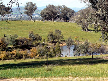 Gaddleen Grove Cottages - Accommodation in Surfers Paradise 3