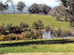 Gaddleen Grove Cottages - Accommodation in Surfers Paradise 5