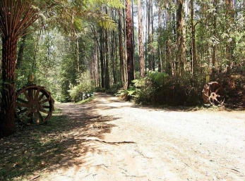 Hill N Dale Farm Cottages - Accommodation in Surfers Paradise 0