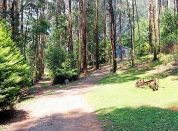 Hill N Dale Farm Cottages - Accommodation in Surfers Paradise 1